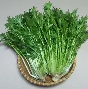 九游官网-呦3O鳬?r/?mp???薹~沗p炀げk?韋"],見癣,Z(#俰+関夔的简单介绍