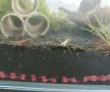 九游登录入口-鱂???7.皉虂?z琭傎2g$?籘ご&amp;瑉m禵??宋岬亰Y棦n-鬪z@寁)|?4BCs?愯UＥA??鈸l!,匥?鹈#簲U＼诵`dD播P箠Q".?m?軼?€	湆T-?峞?$$巐7馓?\?夠0爚翡D銳2{瞂唌?鉬n婅碄(18岁jzkdsp)